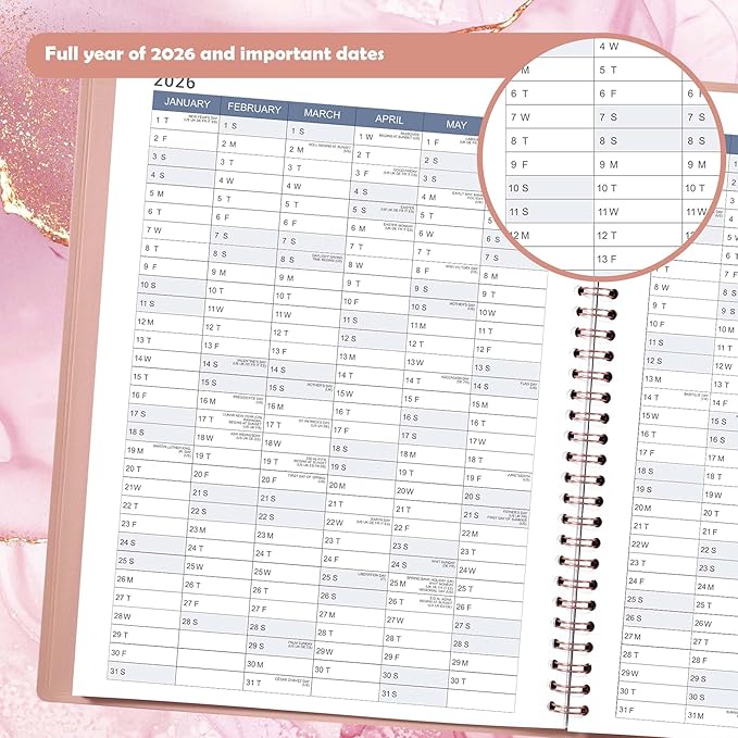 2026 Appointment Book/Planner - Appointment Planner 2026, Jan. 2026 - Dec. 2026, 11" x 9", 26 Daily Hourly Planner with 15-Minute Interval, Colorful Tabs - Rose Gold
