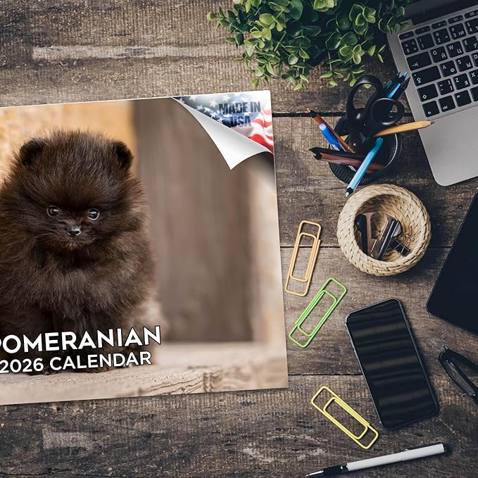 2025 2026 Pomeranian Calendar - Dog Breed Monthly Wall Calendar - 12" x 18" Open - Thick No-Bleed Paper - Giftable - Academic Teacher's Planner Calendar Organizing & Planning - Made in USA