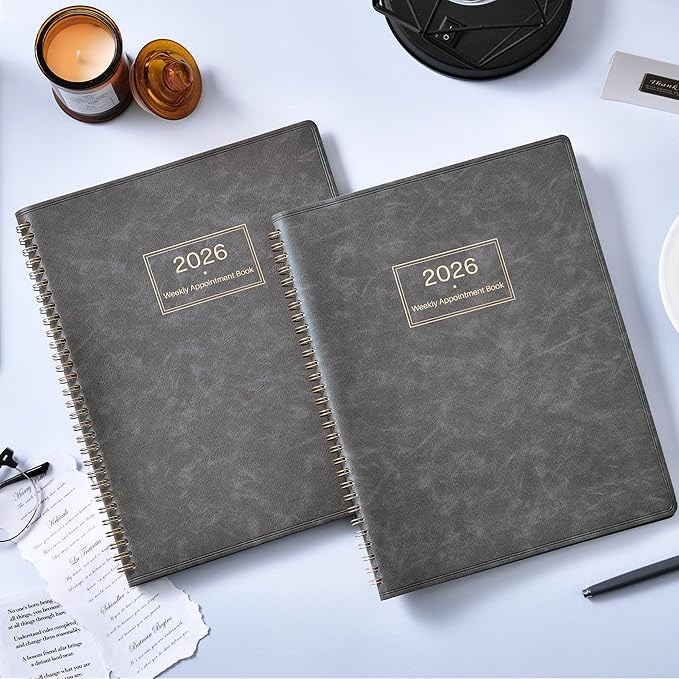 2026 Appointment Book & Planner - 2026 Daily Hourly Planner, JAN 2026 - DEC 2026, 9" x 11", 2026 Planners, 2026 Weekly Appointment Book with 15-Minute Interval, To Do List, Colorful Tabs, Leather Cover - Grey