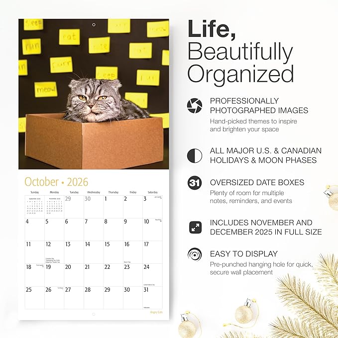 RED EMBER Angry Cats 2026 Wall Calendar 12 Month | 12" x 24" Open | Thick & Sturdy Paper | Giftable | Funny Kitten Cat Calendar 2026