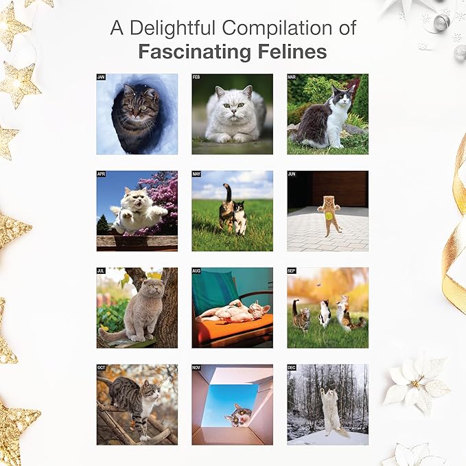 RED EMBER A Cat's Life 2026 Wall Calendar 12 Month | 12" x 24" Open | Thick & Sturdy Paper | Giftable | Cute Kitten Cat Calendar 2026