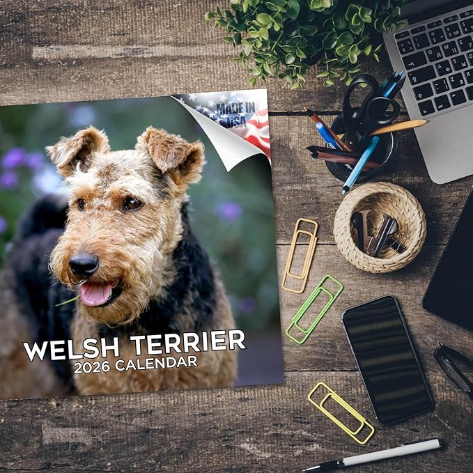 2025 2026 Welsh Terrier Calendar - Dog Breed Monthly Wall Calendar - 12" x 24" Open - Thick No-Bleed Paper - Giftable - Academic Teacher's Planner Calendar Organizing & Planning