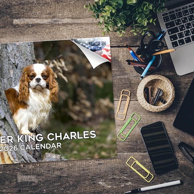 2025 2026 Cavalier King Charles Calendar - Dog Breed Monthly Wall Calendar - 12" x 18" Open - Thick No-Bleed Paper - Giftable - Academic Teacher's Planner Calendar Organizing & Planning - Made in USA