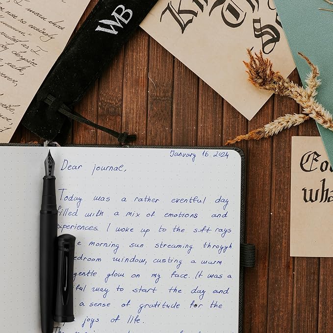 Wordsworth & Black Fountain Pen Set, 18K Gilded Medium Nib, Includes 24 Pack Ink Cartridges, A Refill Converter & Gift Pouch, Calligraphy, [All Black], Perfect for Men & Women