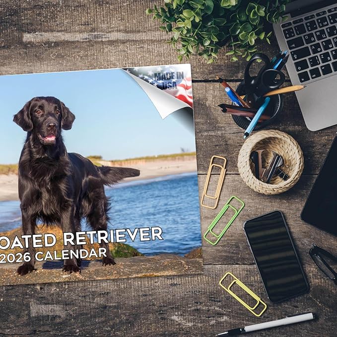 2025 2026 Flatcoated Retriever Calendar - Dog Breed Monthly Wall Calendar - 12" x 18" Open - Thick No-Bleed Paper - Giftable - Academic Teacher's Planner Calendar Organizing & Planning - Made in USA