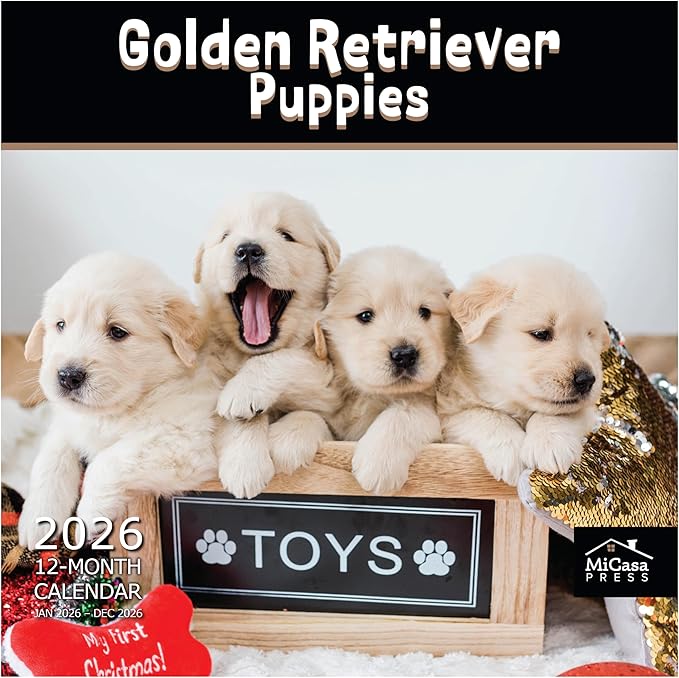 MICASA PRESS Golden Retriever Puppies 2026 Wall Calendar 12 Month | 12" x 24" Open | Thick & Sturdy Paper | Giftable | Cute Puppy Dog Calendar 2026
