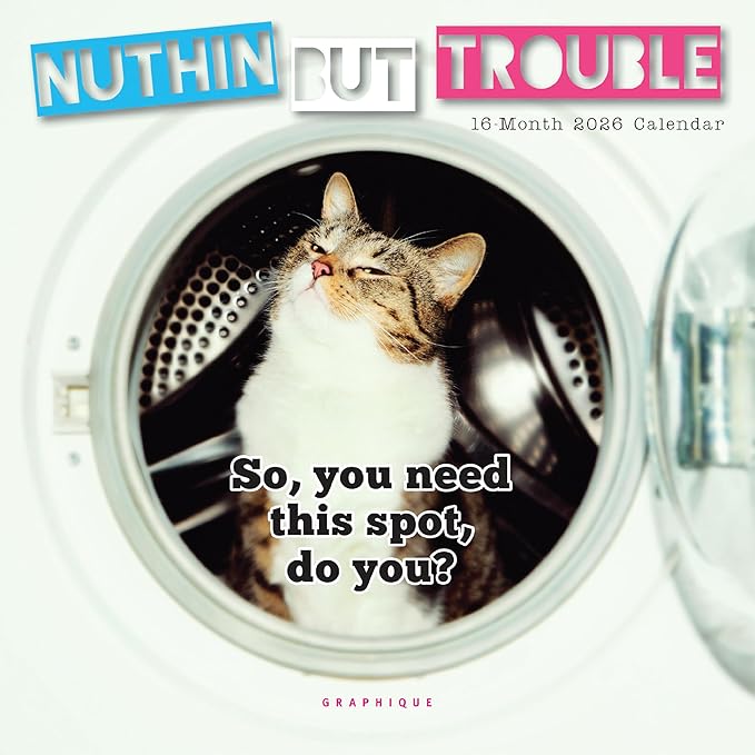 Graphique 2026 Nuthin' But Trouble Mini Wall Calendar | 7” x 7” | Thick Paper | Home & Office Organizer | Large Monthly Grid | 3 Languages & Marked Holidays | 4 Month Preview Page for 2027