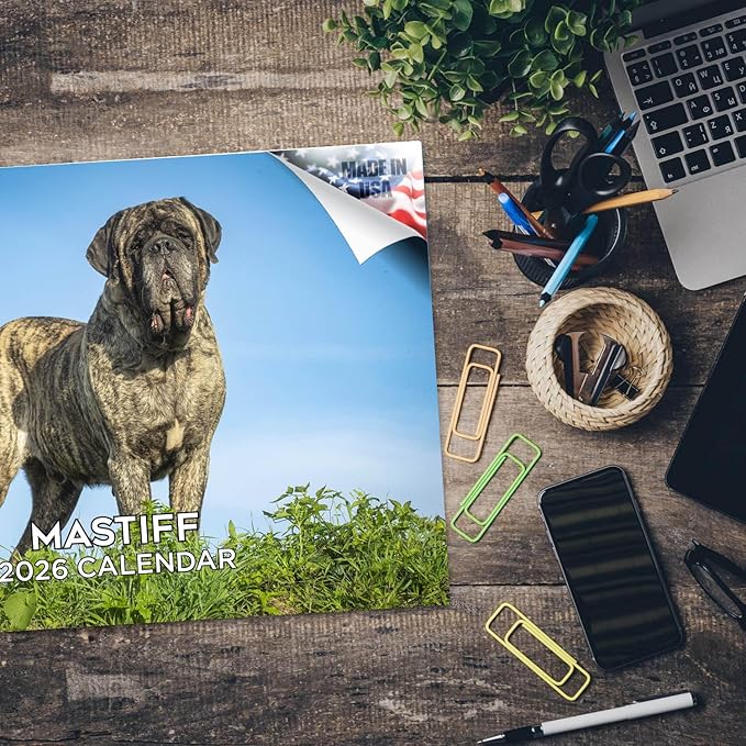 2025 2026 Mastiff Calendar - Dog Breed Monthly Wall Calendar - 12" x 18" Open - Thick No-Bleed Paper - Giftable - Academic Teacher's Planner Calendar Organizing & Planning - Made in USA