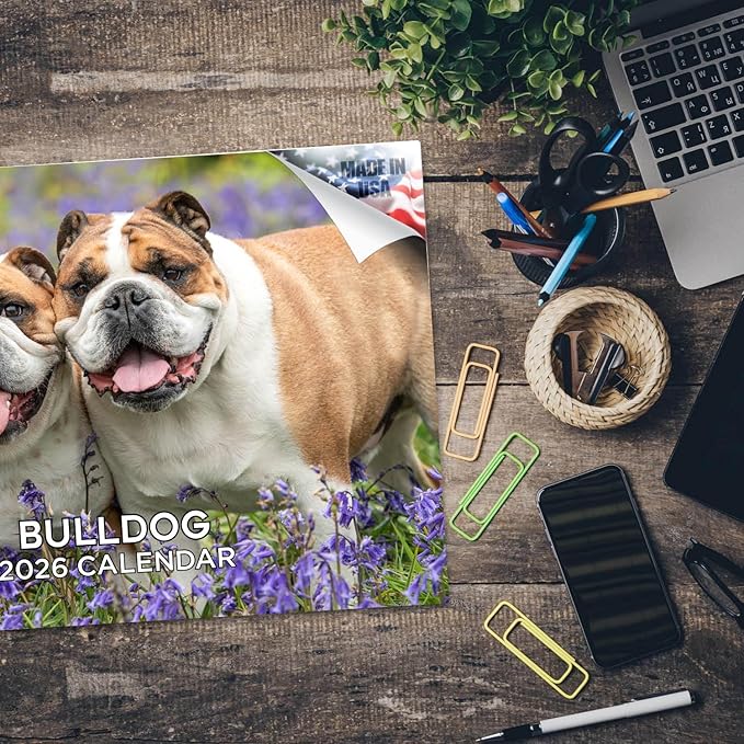 2025 2026 Bulldog Calendar - Dog Breed Monthly Wall Calendar - 12" x 18" Open - Thick No-Bleed Paper - Giftable - Academic Teacher's Planner Calendar Organizing & Planning - Made in USA