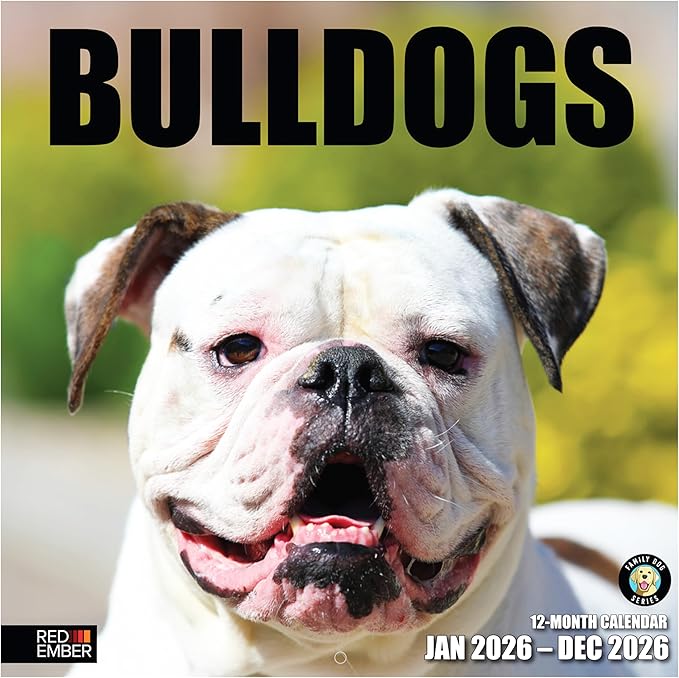 RED EMBER English and American Bulldogs 2026 Wall Calendar 12 Month | 12" x 24" Open | Thick & Sturdy Paper | Giftable | Cute Puppy Dog Calendar 2026
