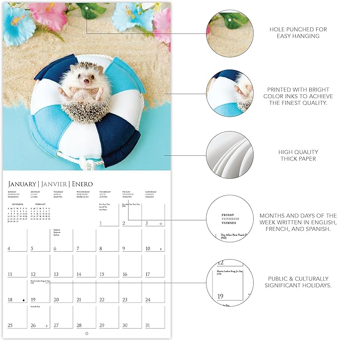 Graphique 2026 Happiest Hedgehogs Mini Wall Calendar | 7” x 7” | Thick Paper | Home & Office Organizer | Large Monthly Grid | 3 Languages & Marked Holidays | 4 Month Preview Page for 2027