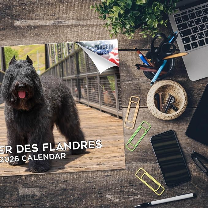 2025 2026 Bouvier Des Flandres Calendar - Dog Breed Monthly Wall Calendar - 12" x 18" Open - Thick No-Bleed Paper - Giftable - Academic Teacher's Planner Calendar Organizing & Planning - Made in USA
