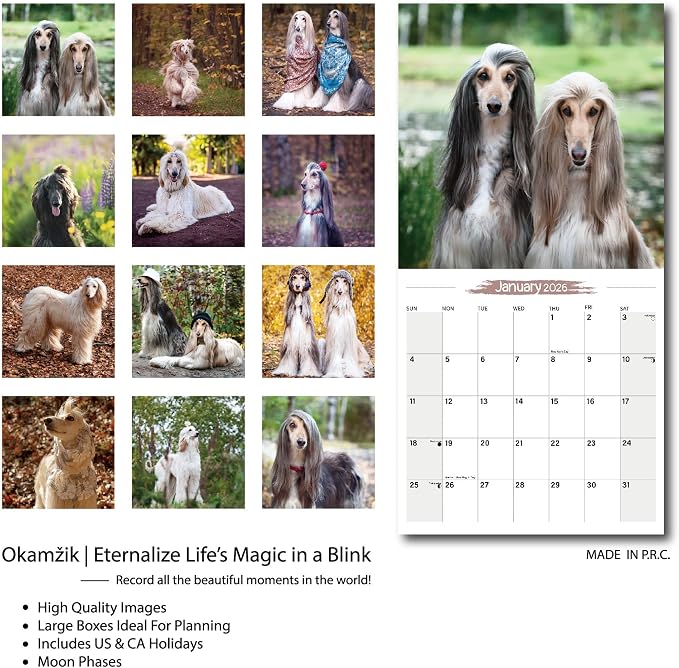 2026 Wall Calendar Afghan hound Planner Calendar, Hangable Monthly Wall Calendar with Large Blocks for Organizing & Planning, Academic Schedule, Home, Office & family, Thick & Sturdy Paper (12"x24" Open)