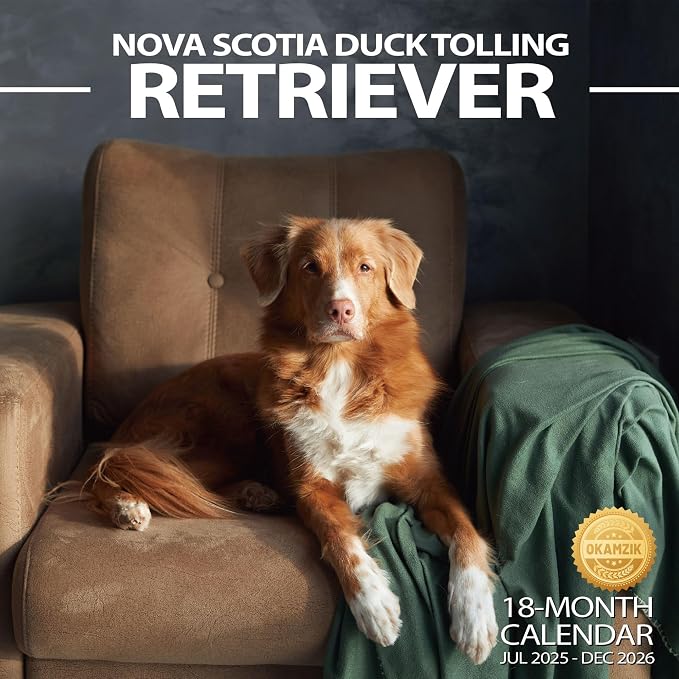 2025-2026 Wall Calendar Nova Scotia Duck Tolling Retriever Planner Calendar, Hangable Monthly Dogs Wall Calendar with Large Blocks for Organizing & Planning, Academic Schedule, Home, Office & family, Thick & Sturdy Paper (12"x24" Open)