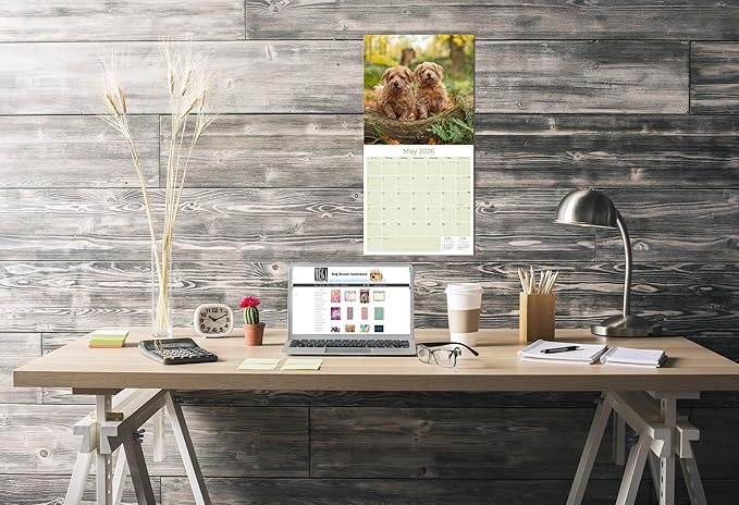 2025 2026 Norfolk/Norwich Calendar - Dog Breed Monthly Wall Calendar - 12" x 24" Open - Thick No-Bleed Paper - Giftable - Academic Teacher's Planner Calendar Organizing & Planning - Made in USA