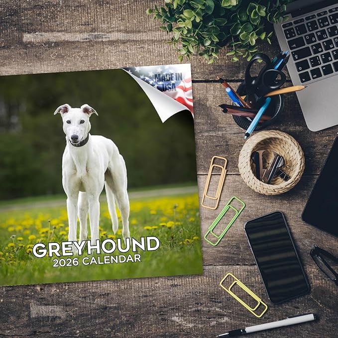 Greyhound Calendar 2026 by MegaCalendars – Monthly Dog Breed Wall Calendar, Made in USA