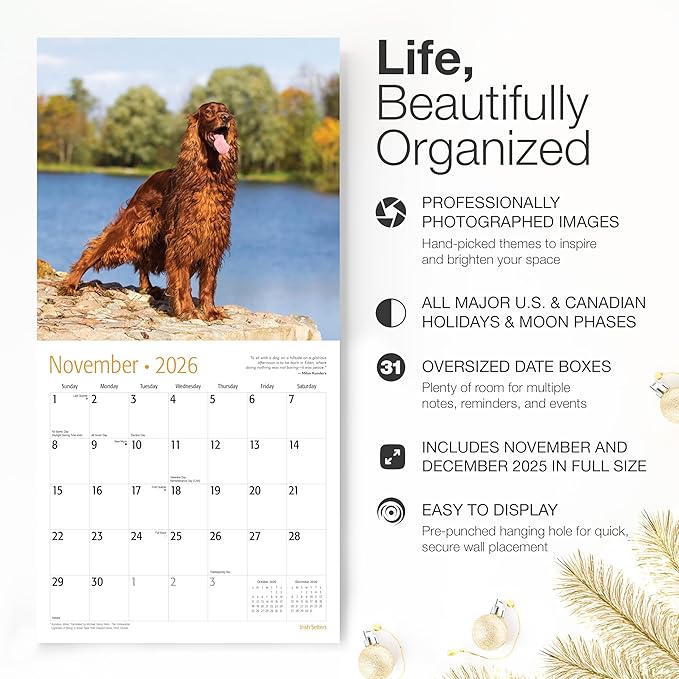 RED EMBER Irish Setters 2026 Wall Calendar 12 Month | 12" x 24" Open | Thick & Sturdy Paper | Giftable | Cute Puppy Dog Calendar 2026