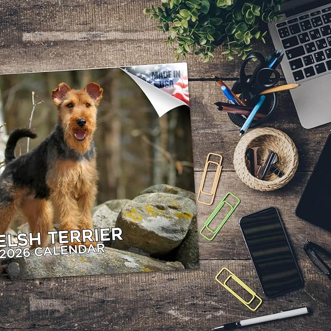 2025 2026 Welsh Terrier Calendar - Dog Breed Monthly Wall Calendar - 12" x 18" Open - Thick No-Bleed Paper - Giftable - Academic Teacher's Planner Calendar Organizing & Planning