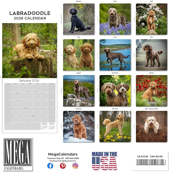 Labradoodle Calendar 2026 by MegaCalendars – Monthly Dog Breed Wall Calendar, Made in USA