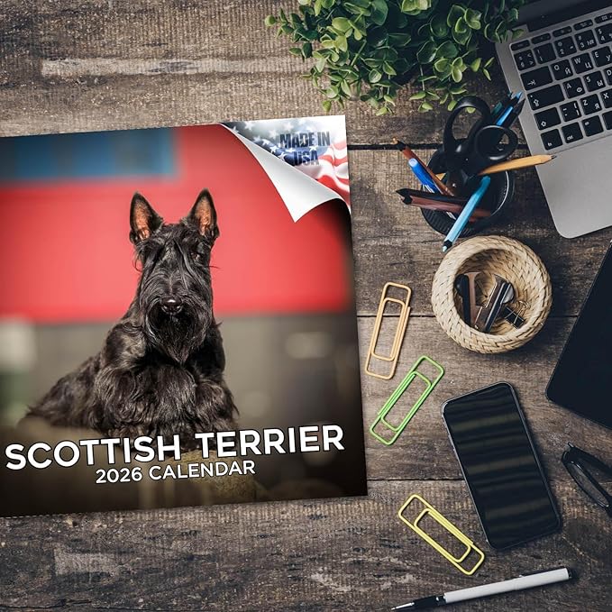 Scottish Terrier Calendar 2026 by MegaCalendars – Monthly Dog Breed Wall Calendar, Made in USA