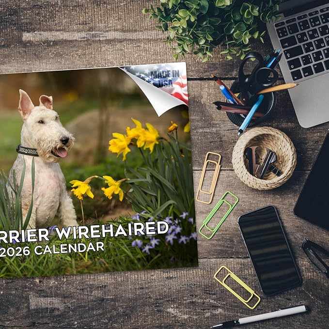 2025 2026 Fox Terrier Wirehaired Calendar - Dog Breed Monthly Wall Calendar - 12" x 18" Open - Thick No-Bleed Paper - Giftable - Academic Teacher's Planner Calendar Organizing & Planning - Made in USA