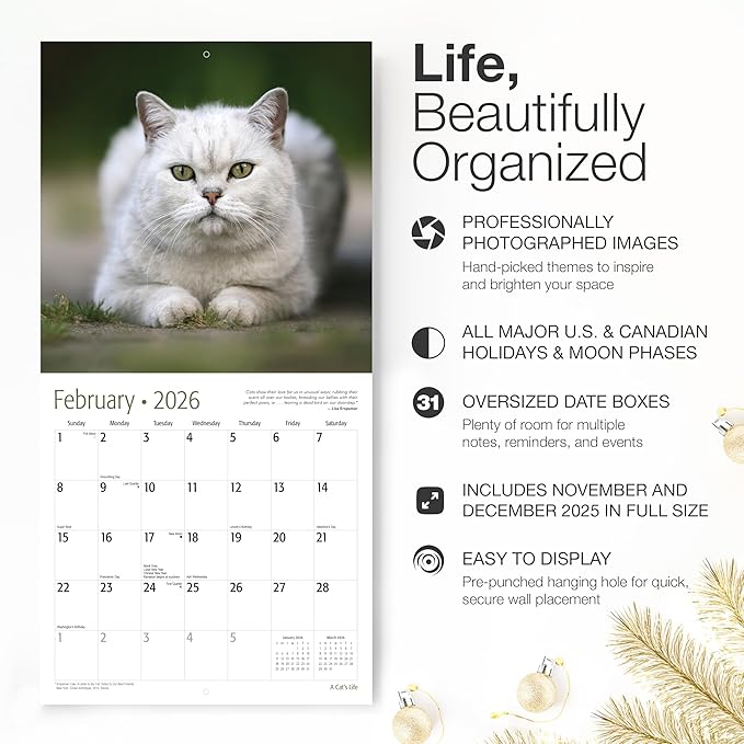 RED EMBER A Cat's Life 2026 Wall Calendar 12 Month | 12" x 24" Open | Thick & Sturdy Paper | Giftable | Cute Kitten Cat Calendar 2026