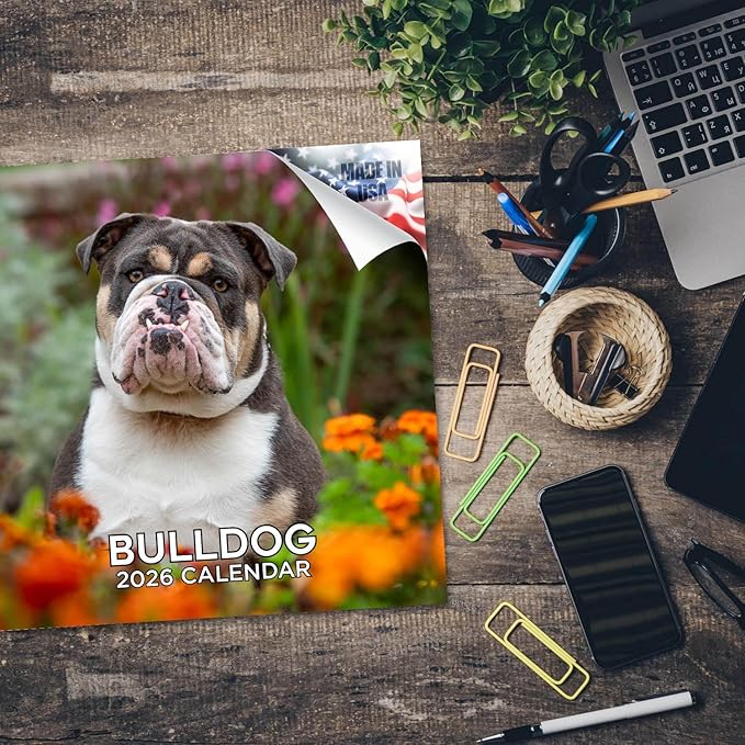 Bulldog Calendar 2026 by MegaCalendars – Monthly Dog Breed Wall Calendar, Made in USA