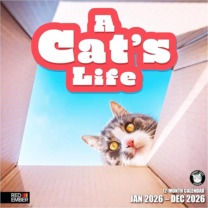 RED EMBER A Cat's Life 2026 Wall Calendar 12 Month | 12" x 24" Open | Thick & Sturdy Paper | Giftable | Cute Kitten Cat Calendar 2026