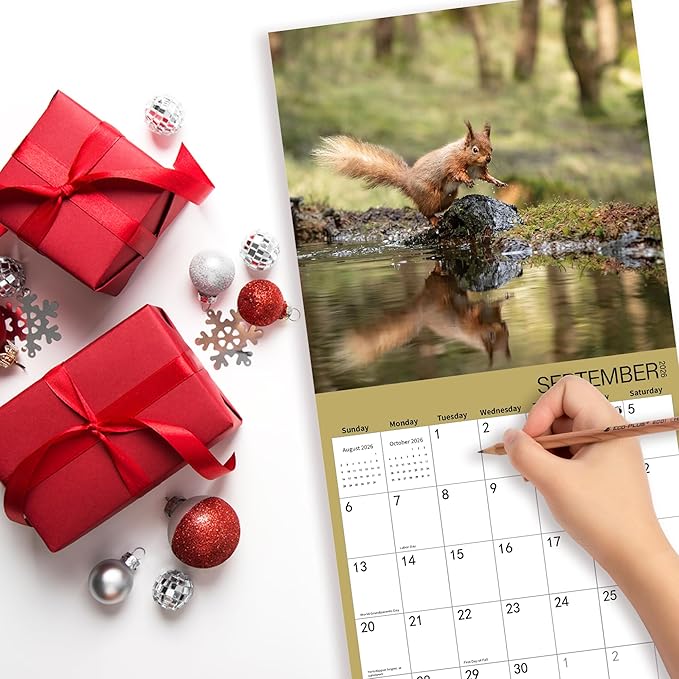 2026 Wall Calendar,Squirrel Calendar 2026,Squirrel Monthly Wall Calendar, 12" x 24" Open,Family Planner Calendar, Home & Office Organizer,Hangable