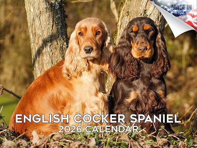 2025 2026 English Cocker Spaniel Calendar - Dog Breed Monthly Wall Calendar - 12" x 18" Open - Thick No-Bleed Paper - Giftable - Academic Teacher's Planner Calendar Organizing & Planning - Made in USA