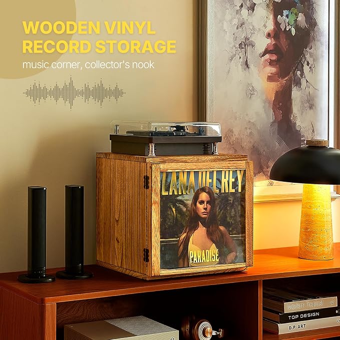 DGWJSU Vinyl Record Storage, Record Storage Box Holds 120 Records, Wooden Vinyl Holder Display Window(7″/10″/12″), Vinyl Storage For Music Corners, Display Collections, Home Theaters, Living Rooms