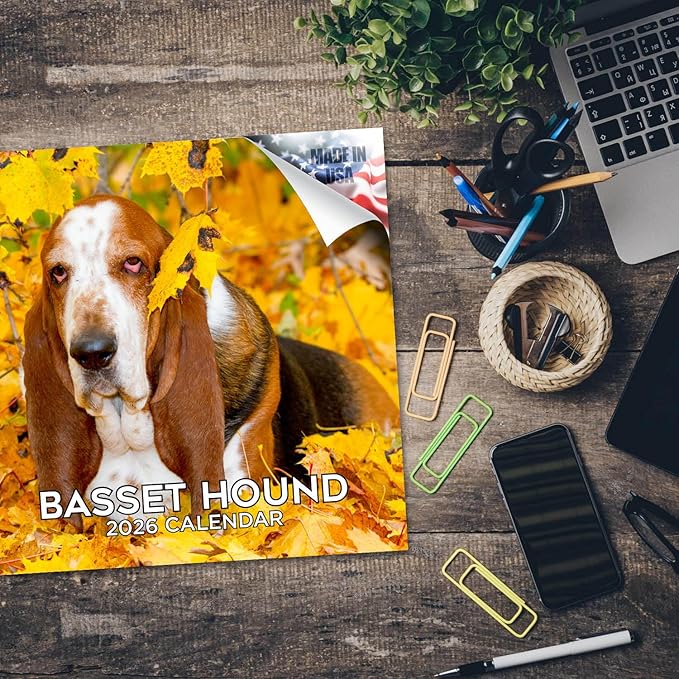 Basset Hound Calendar 2026 – 16-Month Dog Breed Wall Calendar by MegaCalendars – Large Daily Blocks, Thick No-Bleed Paper, Made in USA