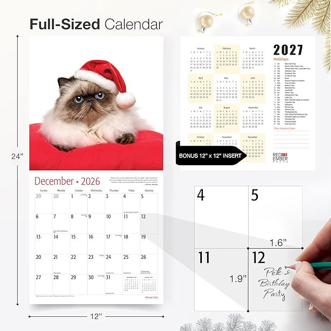 RED EMBER Persian Cats 2026 Wall Calendar 12 Month | 12" x 24" Open | Thick & Sturdy Paper | Giftable | Cute Kitten Cat Calendar 2026