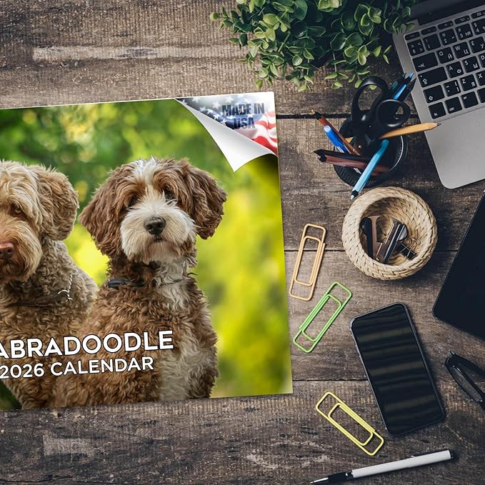 2025 2026 Labradoodle Calendar - Dog Breed Monthly Wall Calendar - 12" x 18" Open - Thick No-Bleed Paper - Giftable - Academic Teacher's Planner Calendar Organizing & Planning - Made in USA
