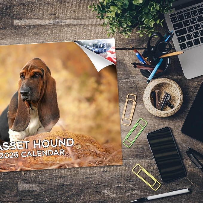 2025 2026 Basset Hound Calendar - Dog Breed Monthly Wall Calendar - 12" x 18" Open - Thick No-Bleed Paper - Giftable - Academic Teacher's Planner Calendar Organizing & Planning - Made in USA