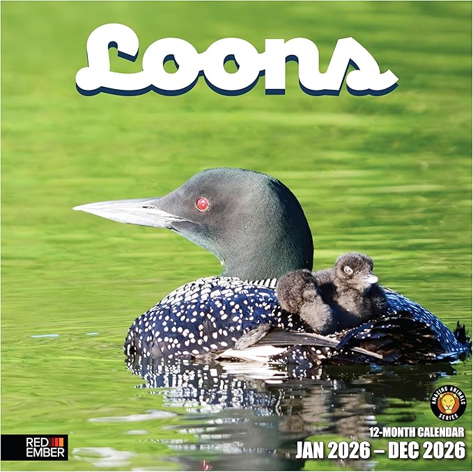 RED EMBER Loons 2026 Wall Calendar 12 Month | 12" x 24" Open | Thick & Sturdy Paper | Giftable | Bird Calendar 2026