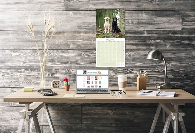Labrador Retriever Calendar 2026 – 16-Month Dog Breed Wall Calendar by MegaCalendars – Black, Brown & Yellow Labs – Large Daily Blocks, Thick No-Bleed Paper, Made in USA