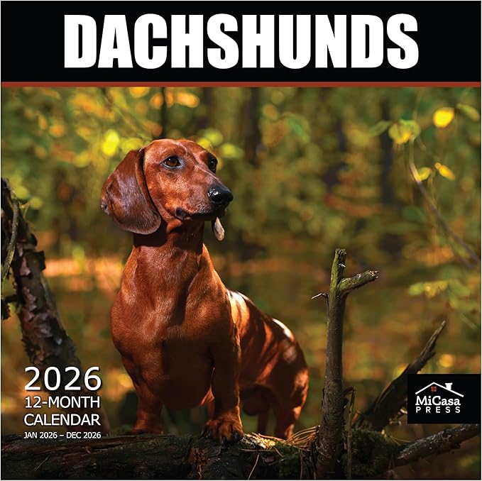 MICASA PRESS Dachshunds 2026 Wall Calendar 12 Month | 12" x 24" Open | Thick & Sturdy Paper | Giftable | Cute Weiner Puppy Dog Calendar 2026