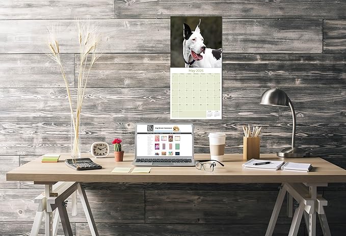 Great Dane Calendar 2026 – 16-Month Dog Breed Wall Calendar by MegaCalendars – Large Daily Blocks, Thick No-Bleed Paper, Made in USA
