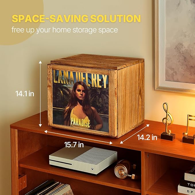 DGWJSU Vinyl Record Storage, Record Storage Box Holds 120 Records, Wooden Vinyl Holder Display Window(7″/10″/12″), Vinyl Storage For Music Corners, Display Collections, Home Theaters, Living Rooms