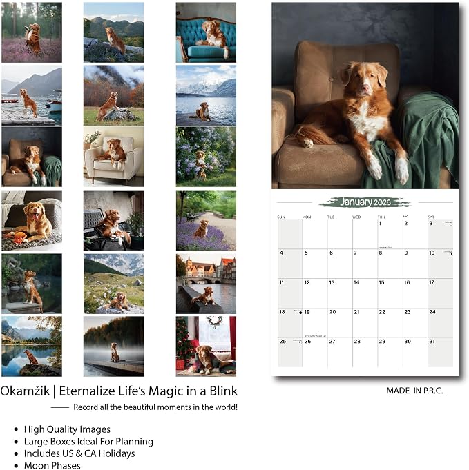 2025-2026 Wall Calendar Nova Scotia Duck Tolling Retriever Planner Calendar, Hangable Monthly Dogs Wall Calendar with Large Blocks for Organizing & Planning, Academic Schedule, Home, Office & family, Thick & Sturdy Paper (12"x24" Open)