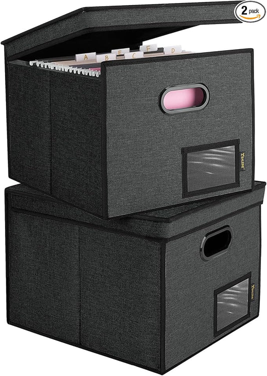 BALEINE File Organizer Box with Lid, Collapsible File Folder Organizer with Plastic Slide, Hanging File Folder Box for Office Document Storage (Tab Friendly, 2 Pack, Black)