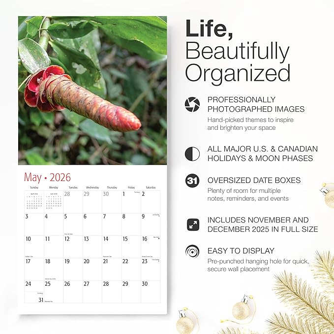 RED EMBER Select - Funny Richard Pics in Nature 2026 Wall Calendar 12 Month | 12" x 24" Open | Thick & Sturdy Paper | Giftable | White Elephant Calendar 2026