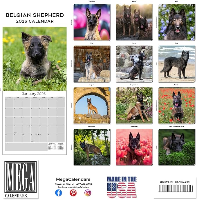 Belgian Shepherd Calendar 2026 by MegaCalendars – Monthly Dog Breed Wall Calendar, Made in USA