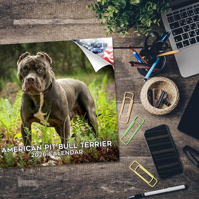 American Pit Bull Terrier Calendar 2026 by MegaCalendars – Monthly Dog Breed Wall Calendar, Made in USA