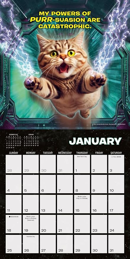 Cat Wars 2026 Mini Wall Calendar: Funny Cat Photography & Humor Parody Calendar for Cat Lovers, 7" × 7"