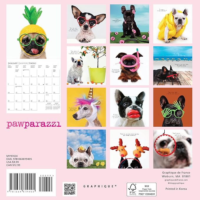 Graphique 2024 Pawparazzi Mini Wall Calendar | 7” x 7” | Thick Paper | Home & Office Organizer | Large Monthly Grid | 3 Languages & Marked Holidays | 4 Month Preview Page for 2025