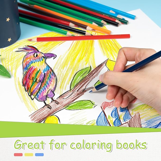S & E TEACHER'S EDITION 144Pcs Colored Pencils, Pre-sharpened, coloring pencils Christmas Gifts 12 Colors, 12pcs/box, 12Boxes, Total: 144Pcs.