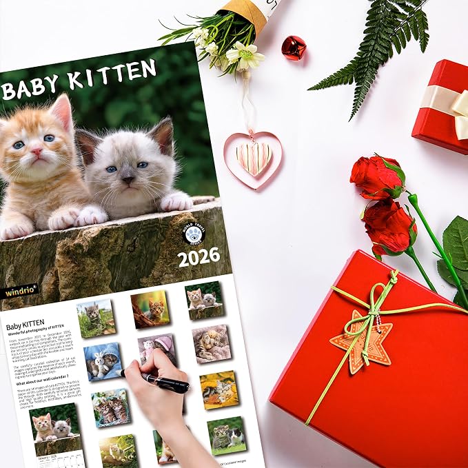 2026 Wall Calendar,Calendar 2026, November 2025 - December 2026, Wall Calendar Cat Kitten, 12" X 24" Opened,Full Page Months Thick & Sturdy Paper for Calendar Organizing & Planning