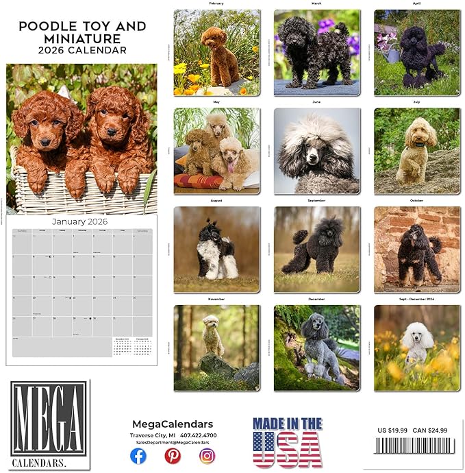 Poodle Toy and Miniature Calendar 2026 by MegaCalendars – Monthly Dog Breed Wall Calendar, Made in USA